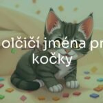 A cute female kitten with a playful expression, sitting on a cozy blanket, surrounded by scattered name tags with feminine names, warm and soft lighting, illustrative style.