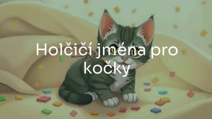 A cute female kitten with a playful expression, sitting on a cozy blanket, surrounded by scattered name tags with feminine names, warm and soft lighting, illustrative style.