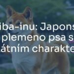 A cute and elegant Shiba-inu standing proudly, fox-like face, alert gaze, traditional Japanese garden background, realistic.