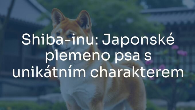 A cute and elegant Shiba-inu standing proudly, fox-like face, alert gaze, traditional Japanese garden background, realistic.