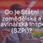 An inspector checking food quality in a supermarket, wearing a uniform with SZPI logo, serious and professional atmosphere, realistic style.